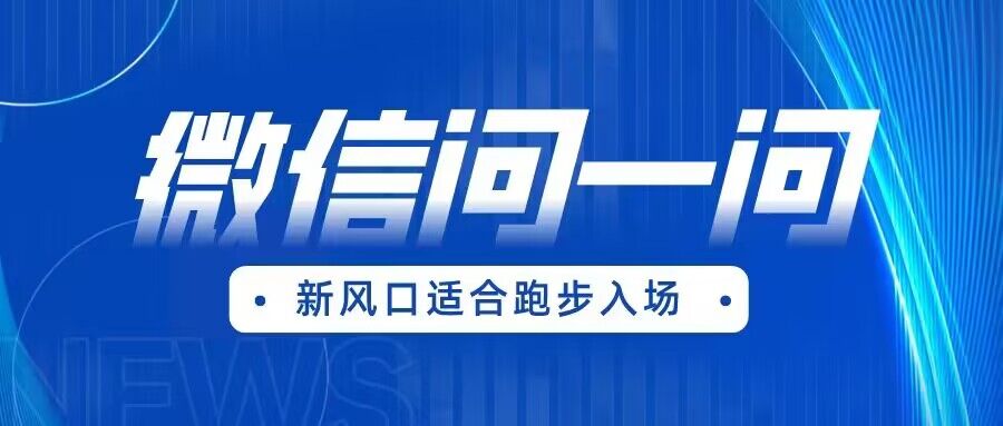 全网首发微信问一问新风口变现项目（价值1999元）