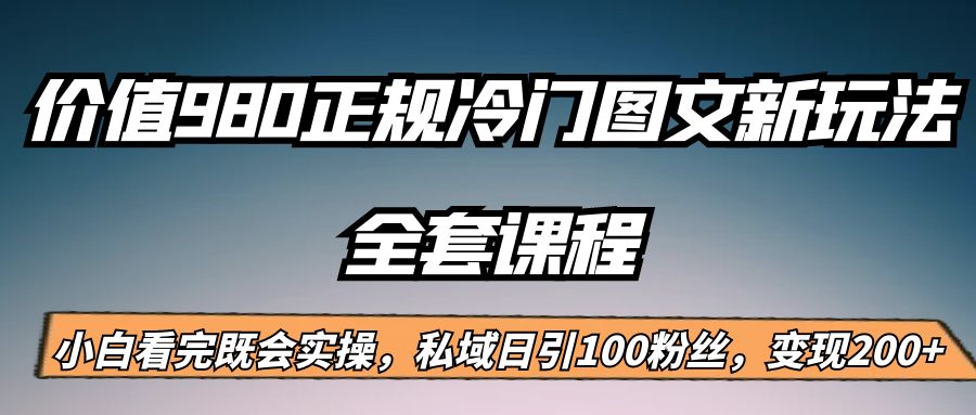 外面卖980的正规冷门图文新玩法，私域日引100粉丝，变现200+