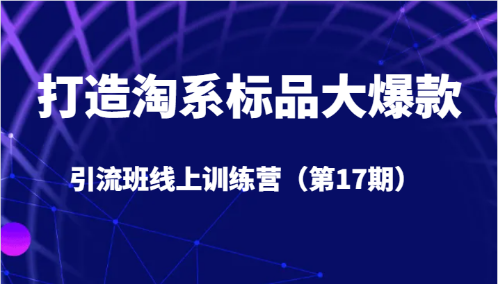 打造淘系标品大爆款引流班线上训练营（云创精品）5天直播授课+1个月答疑