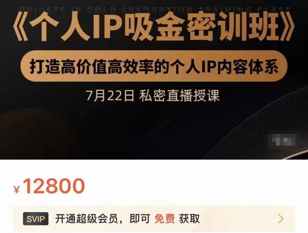 个人IP吸金密训班，打造高价值高效率的个人IP内容体系（价值12800元）