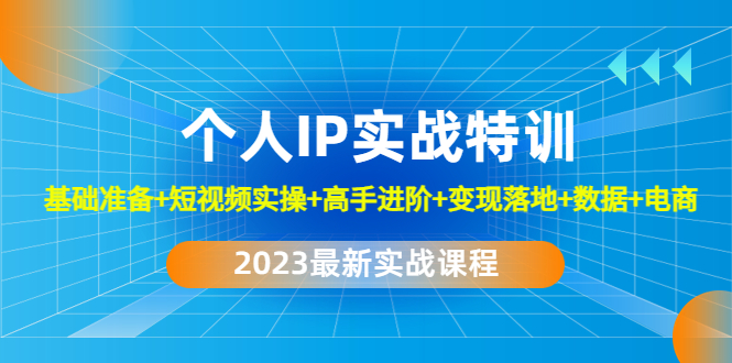 （云创精品）2023个人IP实战特训：基础准备+短视频实操+高手进阶+变现落地+数据+电商