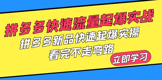 （云创精品）拼多多-快速流量起爆实战，拼多多新品快速起爆实操，看完不走弯路