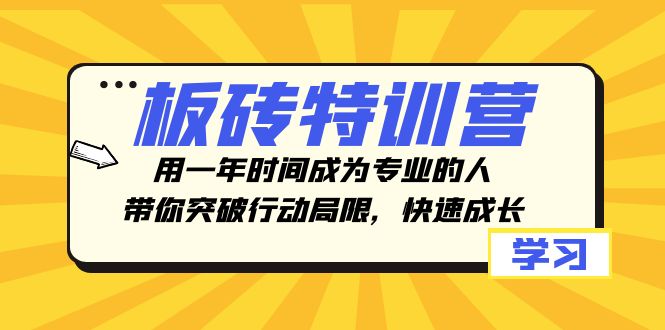 （精品）板砖特训营，用一年时间成为专业的人，带你突破行动局限，快速成长