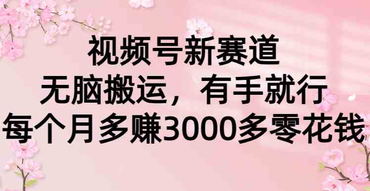 （精品）视频号新赛道，无脑搬运，有手就行，每个月多赚3000多零花钱