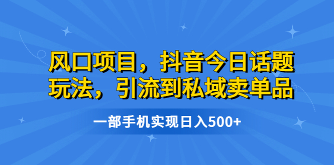 （精品）风口项目，抖音今日话题玩法，引流到私域卖单品，一部手机实现日入500+