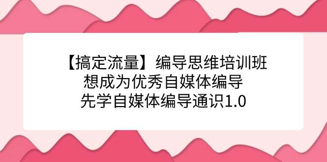 （精品）【搞定流量】编导思维培训班，想成为优秀自媒体编导先学自媒体编导通识1.0