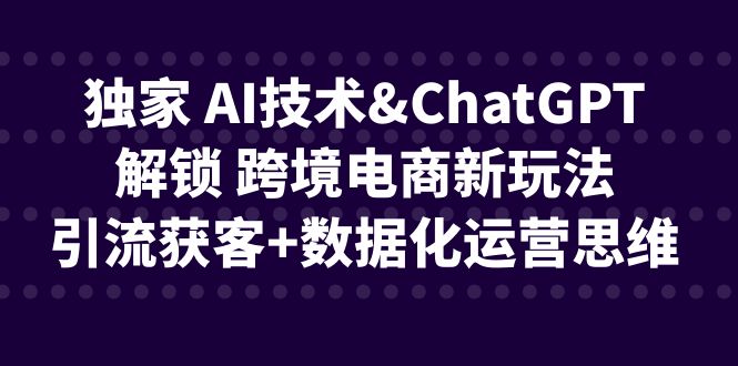 （精品）独家 AI技术&ChatGPT解锁 跨境电商新玩法，引流获客+数据化运营思维