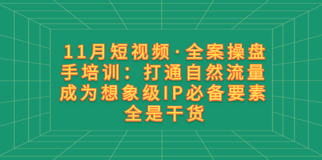 （精品）11月短视频·全案操盘手培训：打通自然流量 成为想象级IP必备要素 全是干货