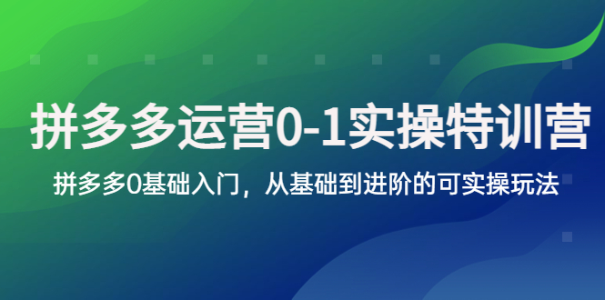 （云创精品）拼多多-运营0-1实操训练营，拼多多0基础入门，从基础到进阶的可实操玩法