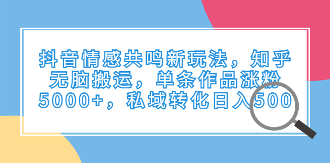 （精品）抖音情感共鸣新玩法，知乎无脑搬运，单条作品涨粉5000+，私域转化日入500