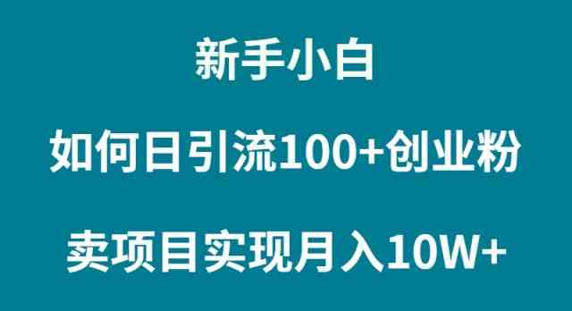 （精品）新手小白如何通过卖项目实现月入10W+