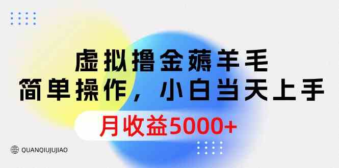 （精品）虚拟撸金薅羊毛，简单操作，小白当天上手，月收益5000+