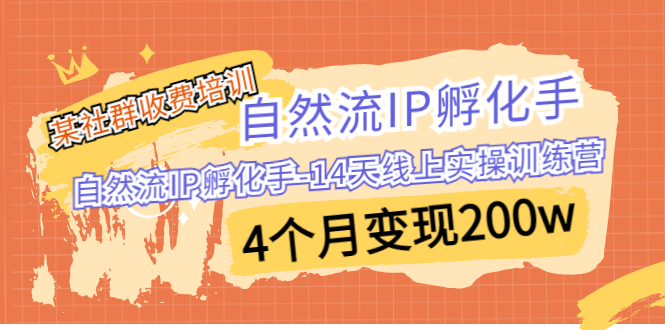 （精品）某社群收费培训：自然流IP 孵化手-14天线上实操训练营 4个月变现200w