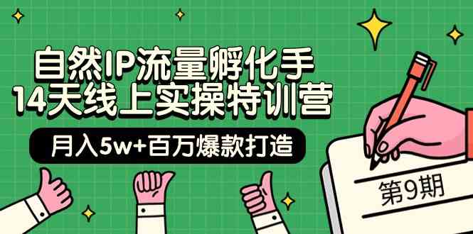 （精品）自然IP流量孵化手 14天线上实操特训营【第9期】月入5w+百万爆款打造 (74节)