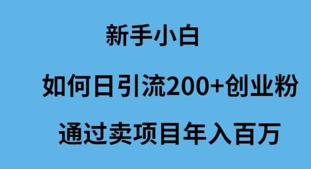 （精品）新手小白如何日引流200+创业粉通过卖项目年入百万