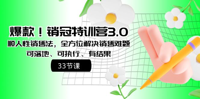 （精品）爆款！销冠特训营3.0之顺人性销售法，全方位解决销售难题、可落地、可执…