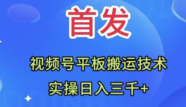 （精品）全网首发：视频号平板搬运技术，实操日入三千＋