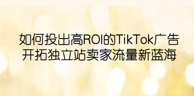 （云创精品）如何投出高ROI·TikTok广告，开拓独立站卖家流量新蓝海