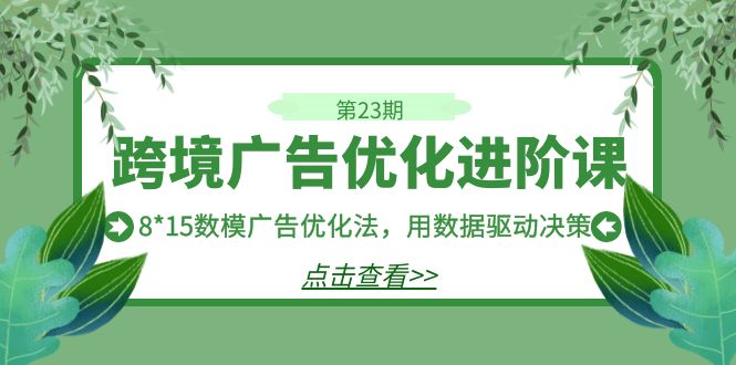 （精品）跨境广告·优化进阶课·第23期，8*15数模广告优化法，用数据驱动决策