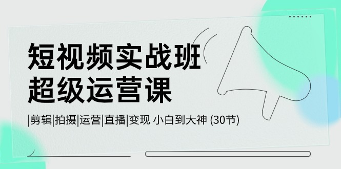 （精品）短视频实战班-超级运营课，|剪辑|拍摄|运营|直播|变现 小白到大神 (30节)