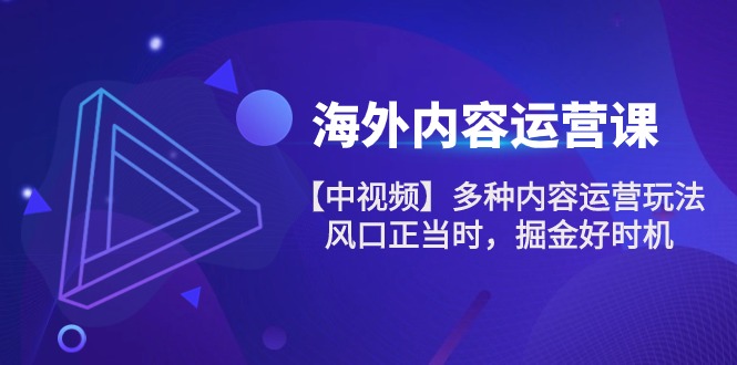 （精品）海外内容 运营课【中视频】多种内容运营玩法 风口正当时 掘金好时机-101节