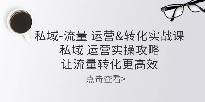 （精品）私域-流量 运营&转化实操课：私域 运营实操攻略 让流量转化更高效