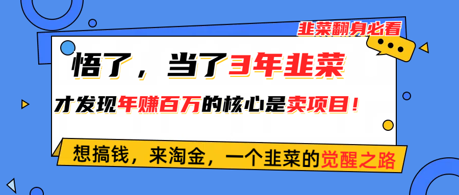 （精品）悟了，当了3年韭菜，才发现网赚圈年赚100万的核心是卖项目，含泪分享！