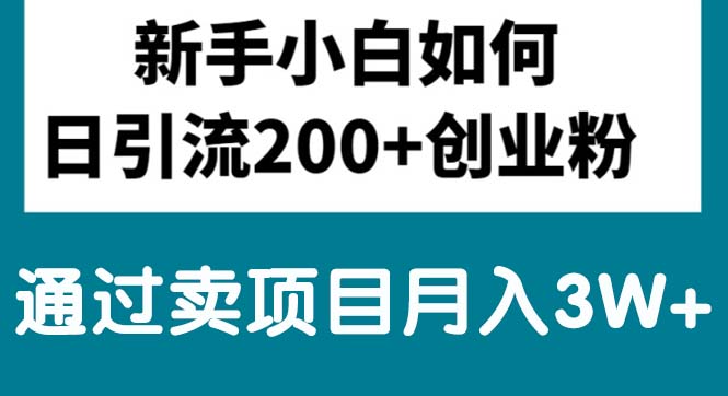 （精品）新手小白日引流200+创业粉,通过卖项目月入3W+