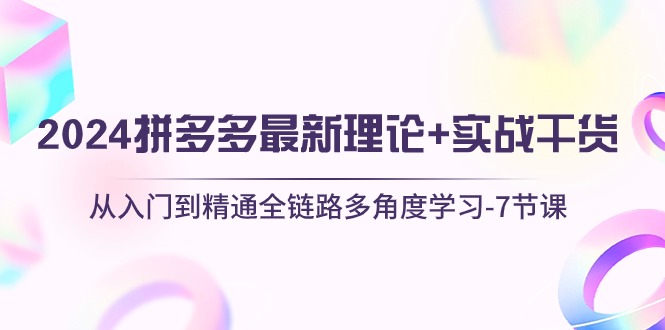 （精品）2024拼多多 最新理论+实战干货，从入门到精通全链路多角度学习-7节课