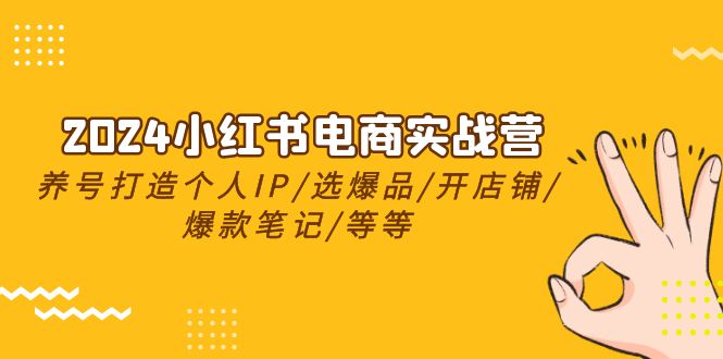 （精品）2024小红书电商实战营，养号打造IP/选爆品/开店铺/爆款笔记/等等（24节）