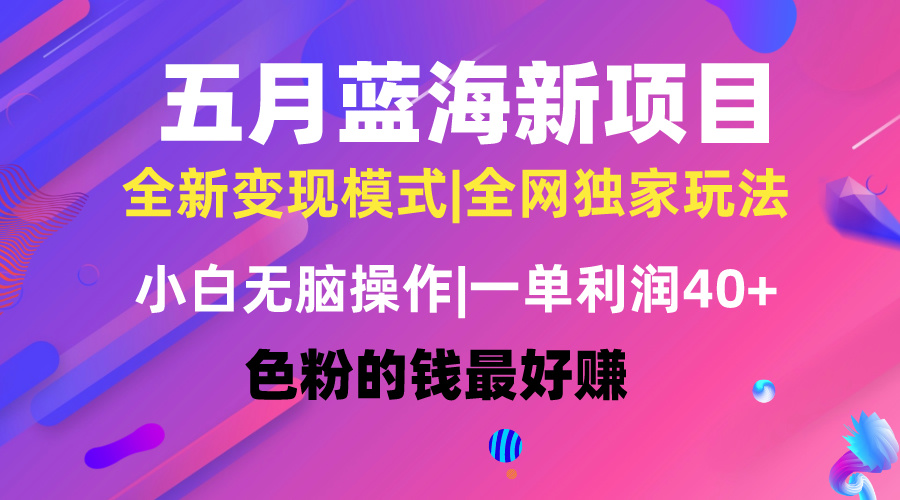 （精品）五月蓝海项目全新玩法，小白无脑操作，一天几分钟，矩阵操作，月入4万+