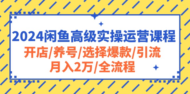 （精品）2024闲鱼高级实操运营课程：开店/养号/选择爆款/引流/月入2万/全流程