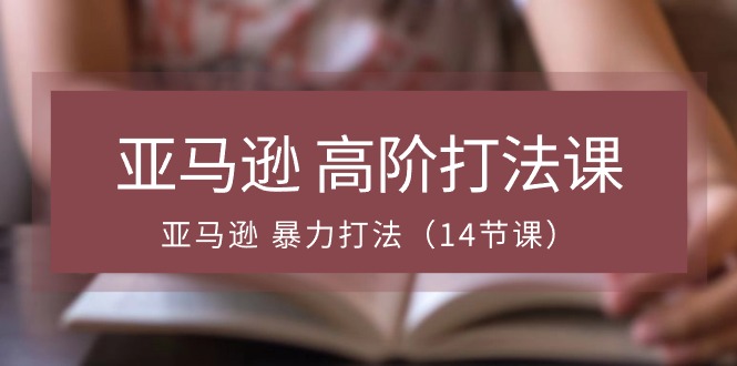 亚马逊高阶打法课，亚马逊暴力打法（14节视频课）