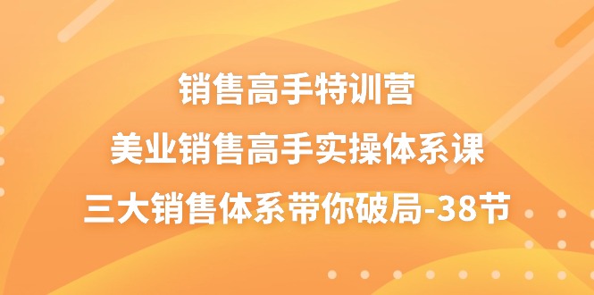 （精品）销售-高手特训营，美业-销售高手实操体系课，三大销售体系带你破局-38节