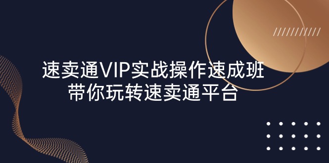 （精品）速卖通 VIP实战操作-速成班，带你玩转速卖通平台（23节）