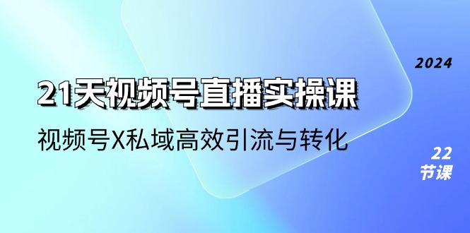 （精品）21天-视频号直播实操课，视频号X私域高效引流与转化（22节课）