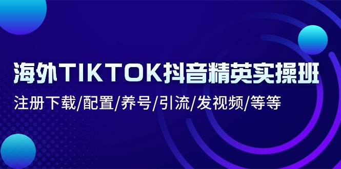 （精品）海外TIKTOK抖音精英实操班：注册下载/配置/养号/引流/发视频/等等