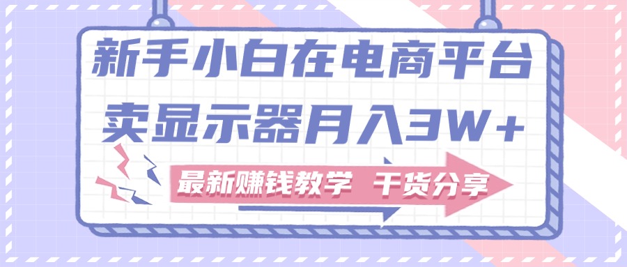 （精品）新手小白如何做到在电商平台卖显示器月入3W+，最新赚钱教学干货分享