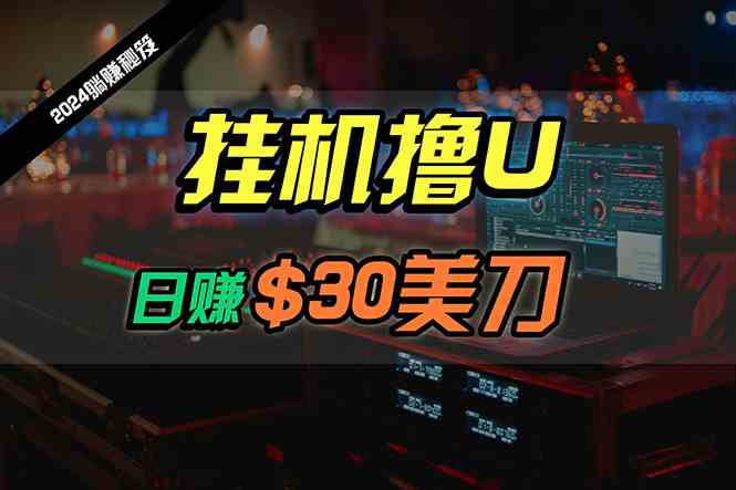 （精品）日赚30美刀，2024最新海外挂机撸U内部项目，全程无人值守，可批量放大