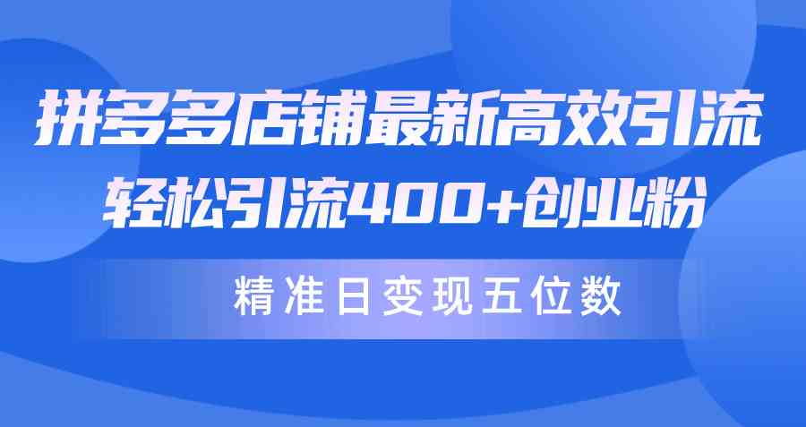 （精品）拼多多店铺最新高效引流术，轻松引流400+创业粉，精准日变现五位数！