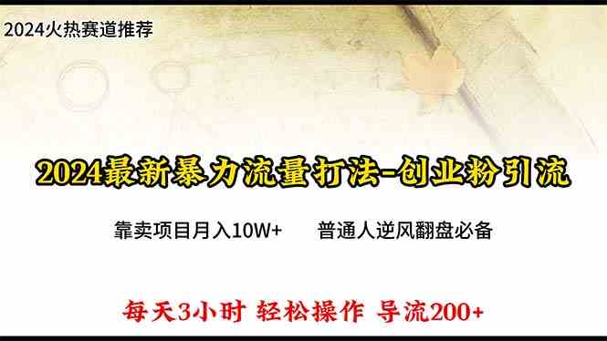 （精品）2024年最新暴力流量打法，每日导入300+，靠卖项目月入10W+