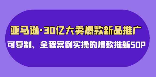 （精品）亚马逊30亿·大卖爆款新品推广，可复制、全程案例实操的爆款推新SOP