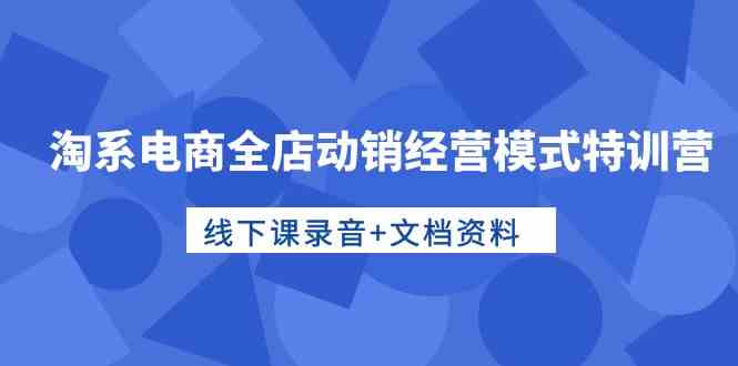 （精品）淘系电商全店动销经营模式特训营，线下课录音+文档资料