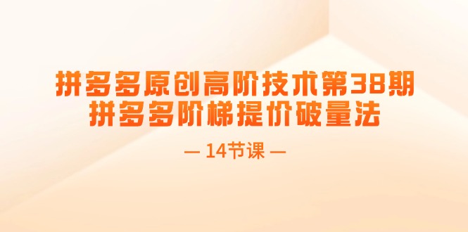 （精品）拼多多原创高阶技术第38期，拼多多阶梯提价破量法（14节课）