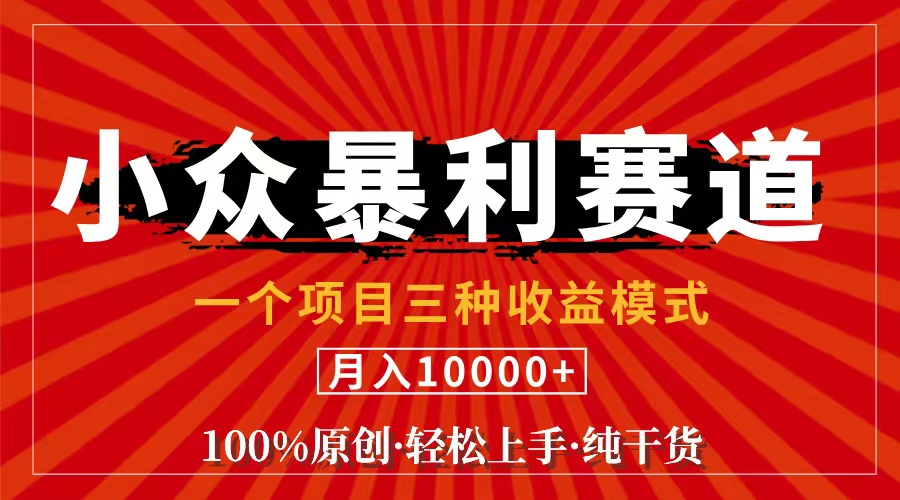 （精品）视频号【中老年粉深信不疑】小众赛道 100%原创 手把手教学 新号3天收益…