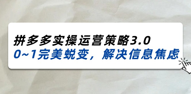 （精品）2024_2025拼多多实操运营策略3.0，0~1完美蜕变，解决信息焦虑（38节）