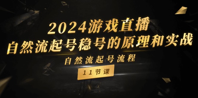 （精品）2024游戏直播-自然流起号稳号的原理和实战，自然流起号流程（11节）