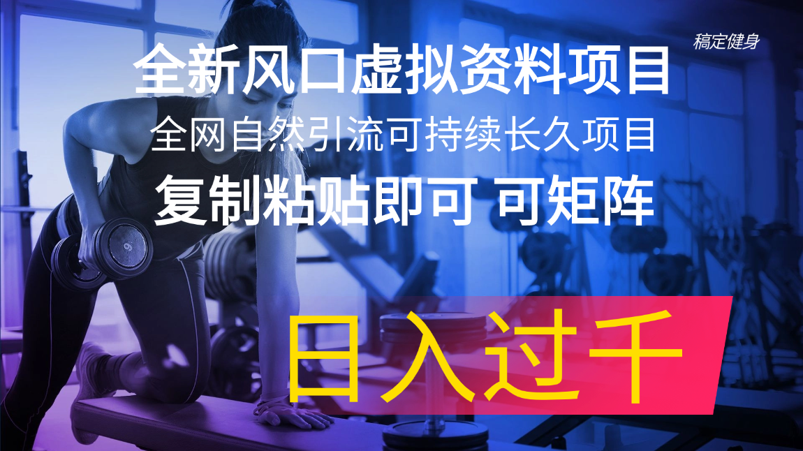 （精品）全新风口虚拟资料项目 全网自然引流可持续长久项目 复制粘贴即可可矩阵…