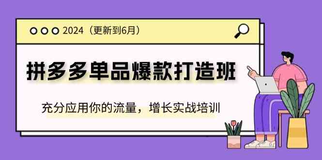 2024拼多多单品爆款打造班，充分应用你的流量，增长实战培训(更新6月)