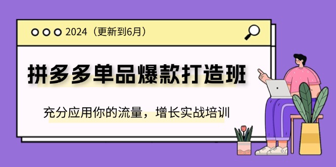 （精品）2024拼多多-单品爆款打造班(更新6月)，充分应用你的流量，增长实战培训